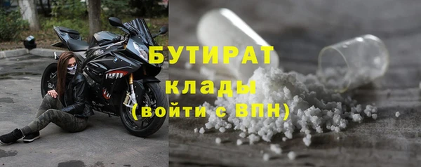 сатива Арсеньев