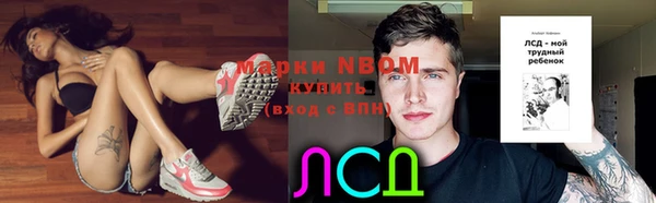 сатива Арсеньев