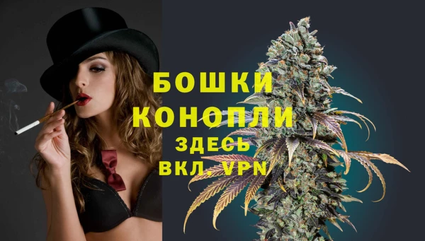 apvp Аркадак